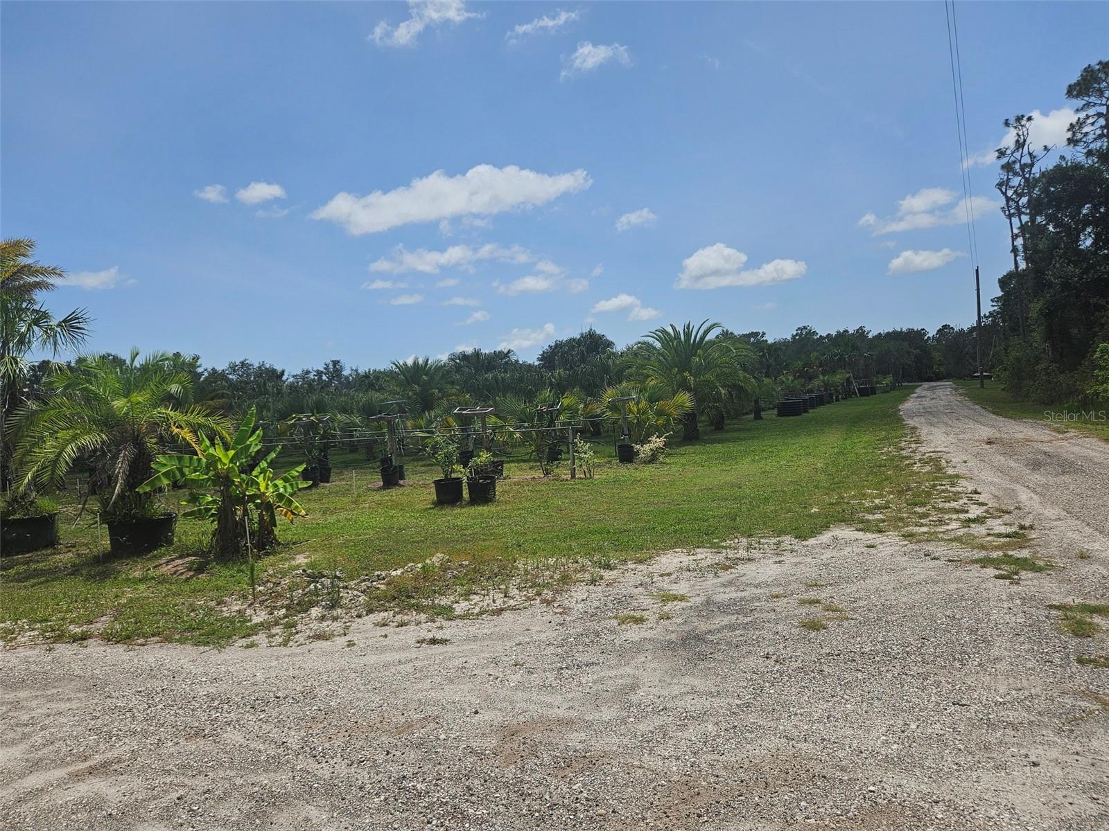 21910 TAYLOR DR — photo 9