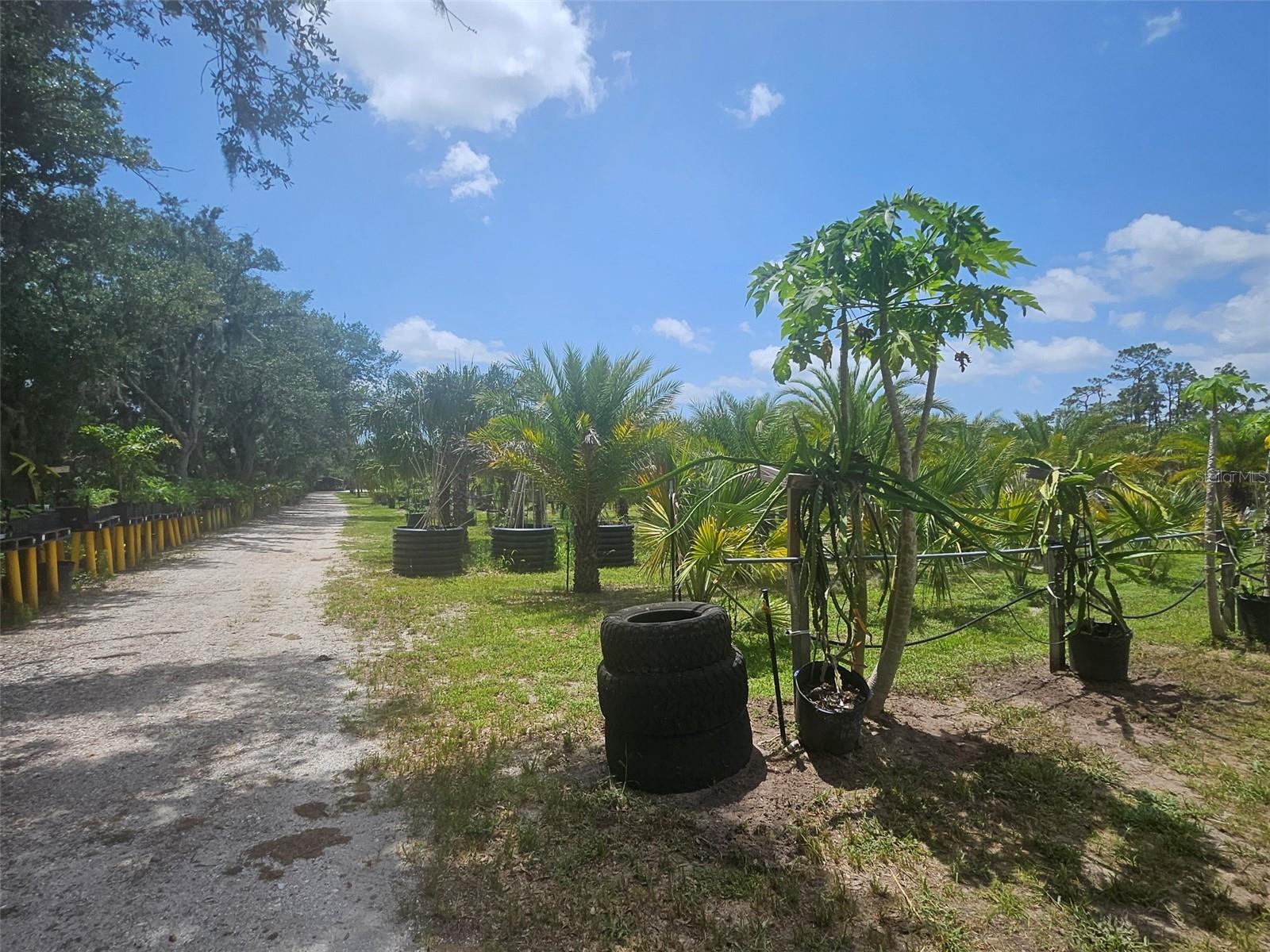 21910 TAYLOR DR — photo 11
