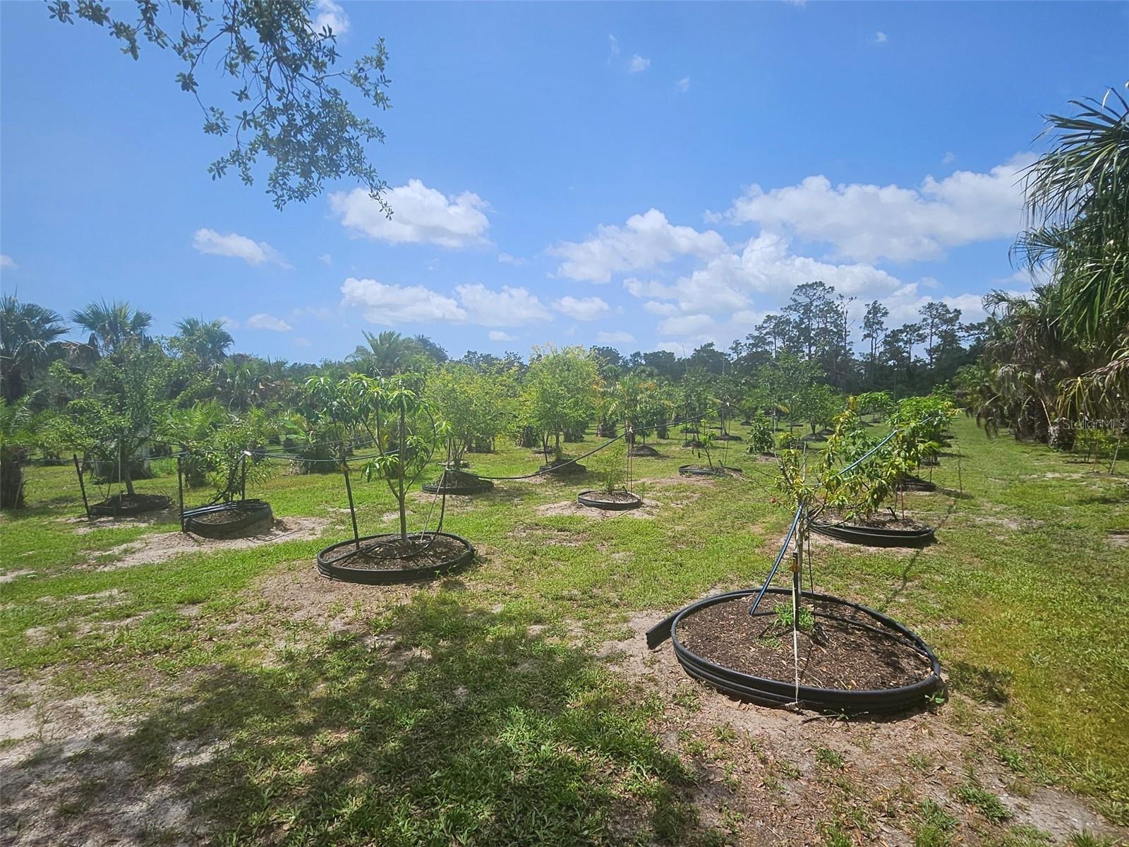 21910 TAYLOR DR — photo 12