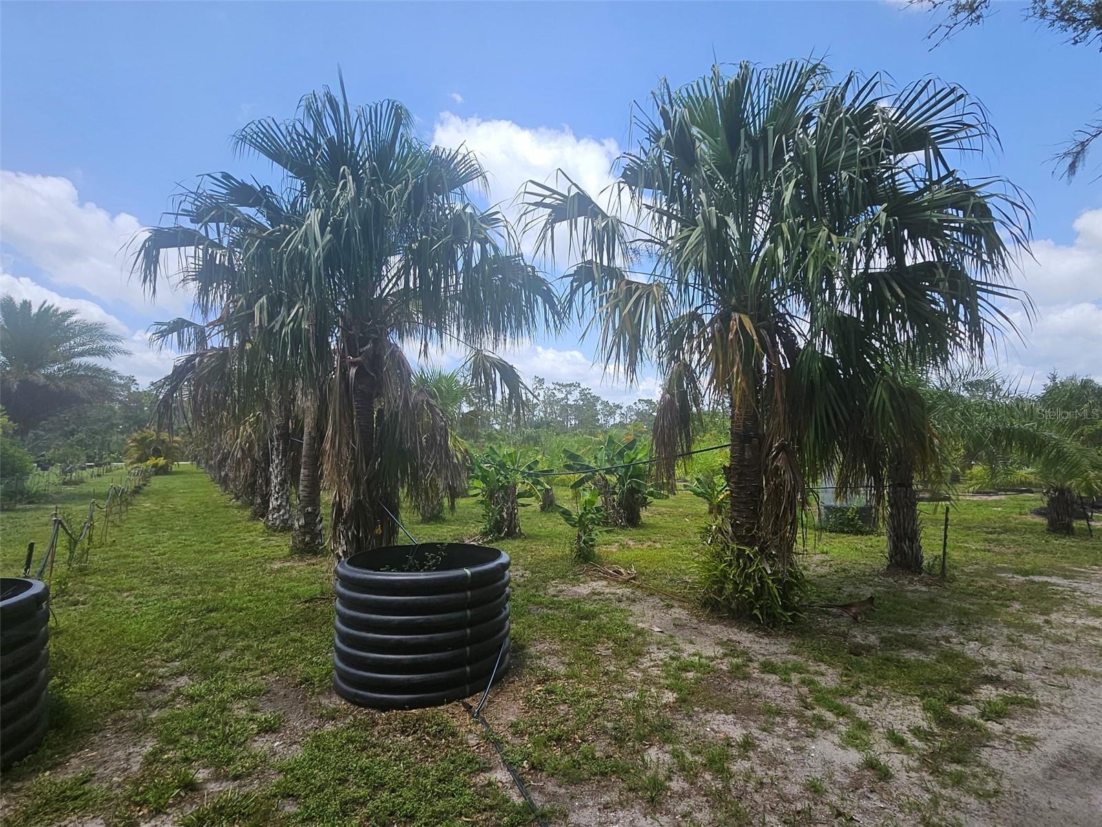 21910 TAYLOR DR — photo 13