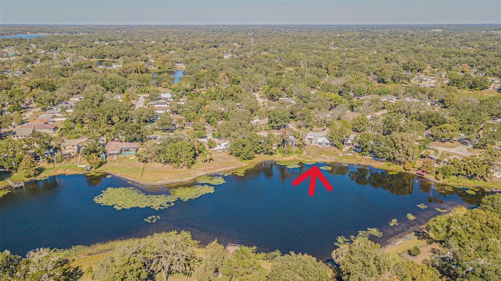 12510 FOREST HILLS DR — photo 55