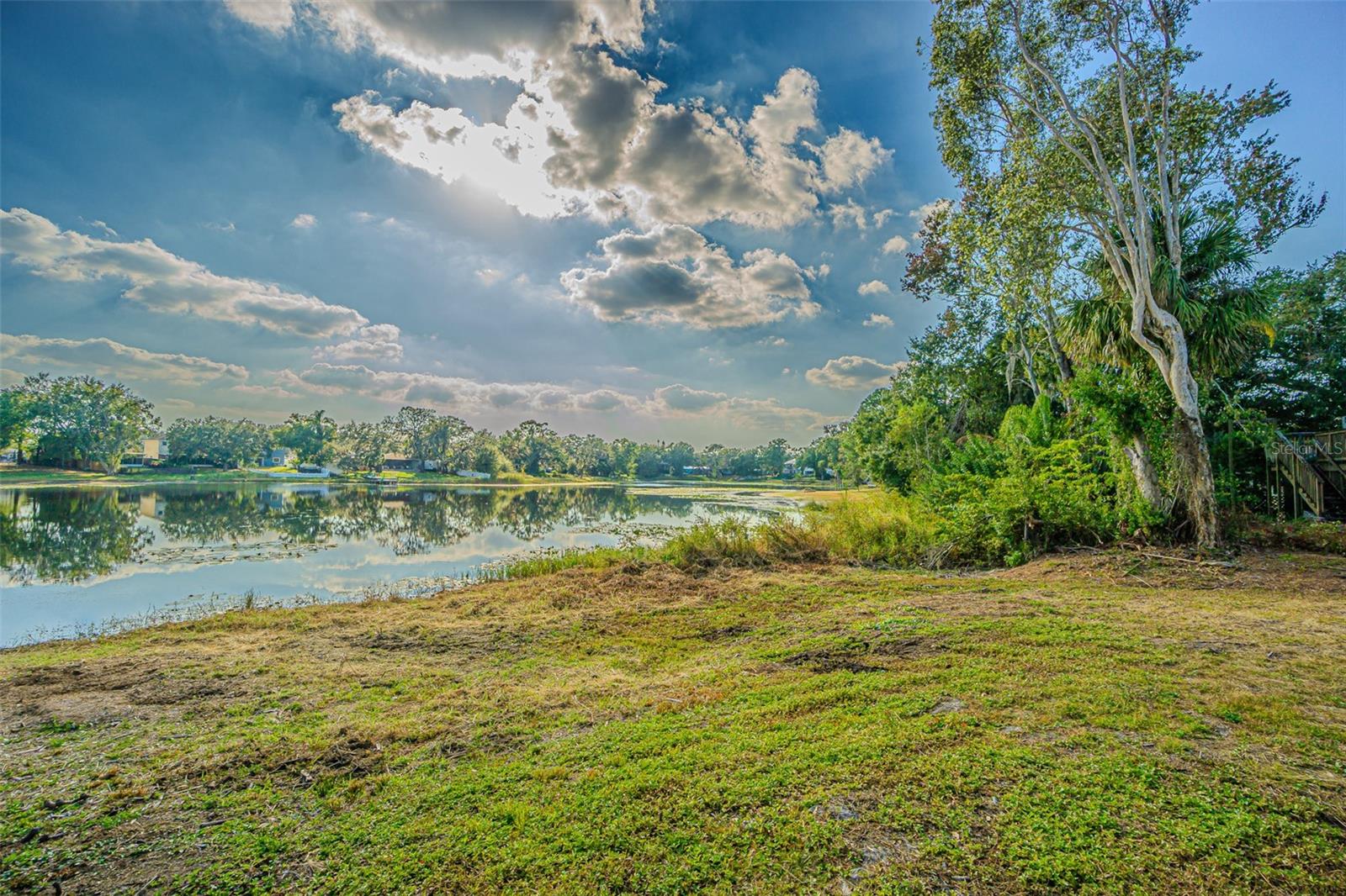 12510 FOREST HILLS DR — photo 42