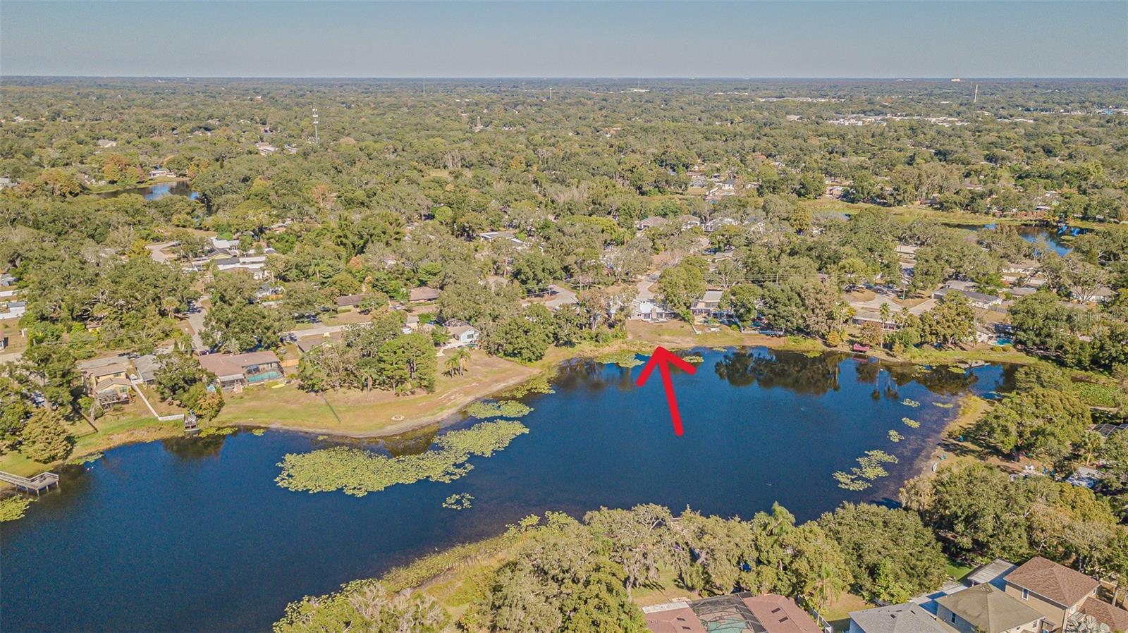 12510 FOREST HILLS DR — photo 56