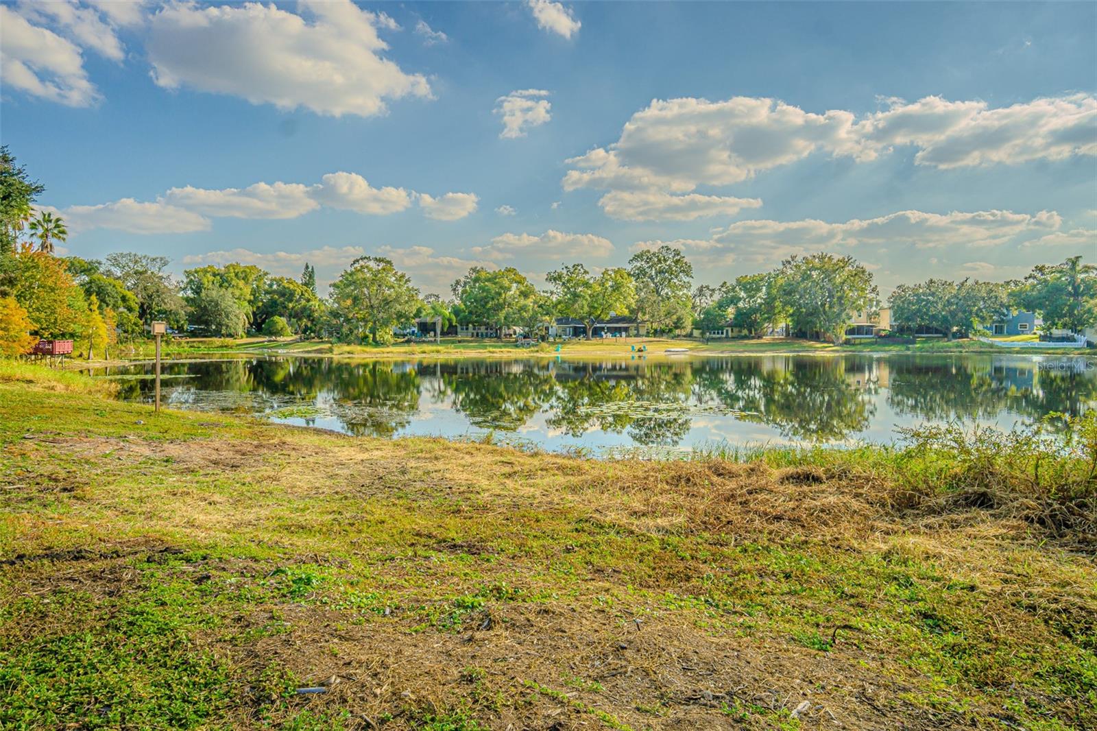 12510 FOREST HILLS DR — photo 5