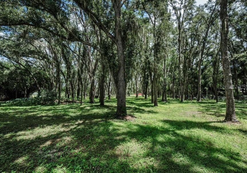 4635 COBB RD — photo 5