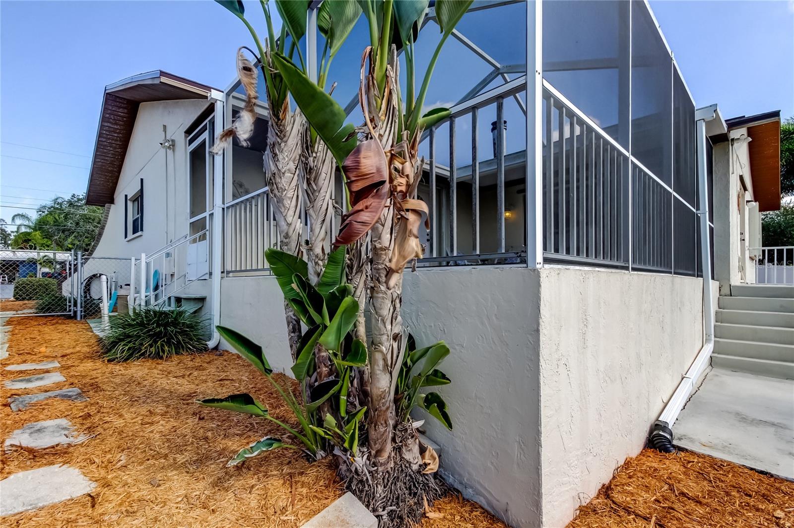 212 WESTWINDS DR — photo 33