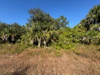 LOT 4 MATTOX CIR — photo 4