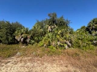 LOT 4 MATTOX CIR — photo 3