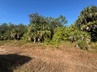 LOT 4 MATTOX CIR — photo 2