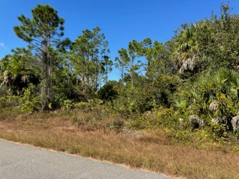 LOT 2 MATTOX CIR — photo 2