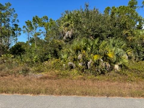 LOT 2 MATTOX CIR — photo 3