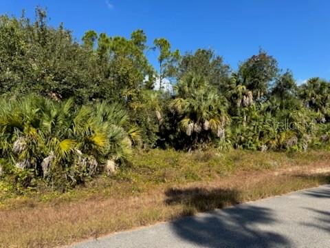 LOT 2 MATTOX CIR — photo 4