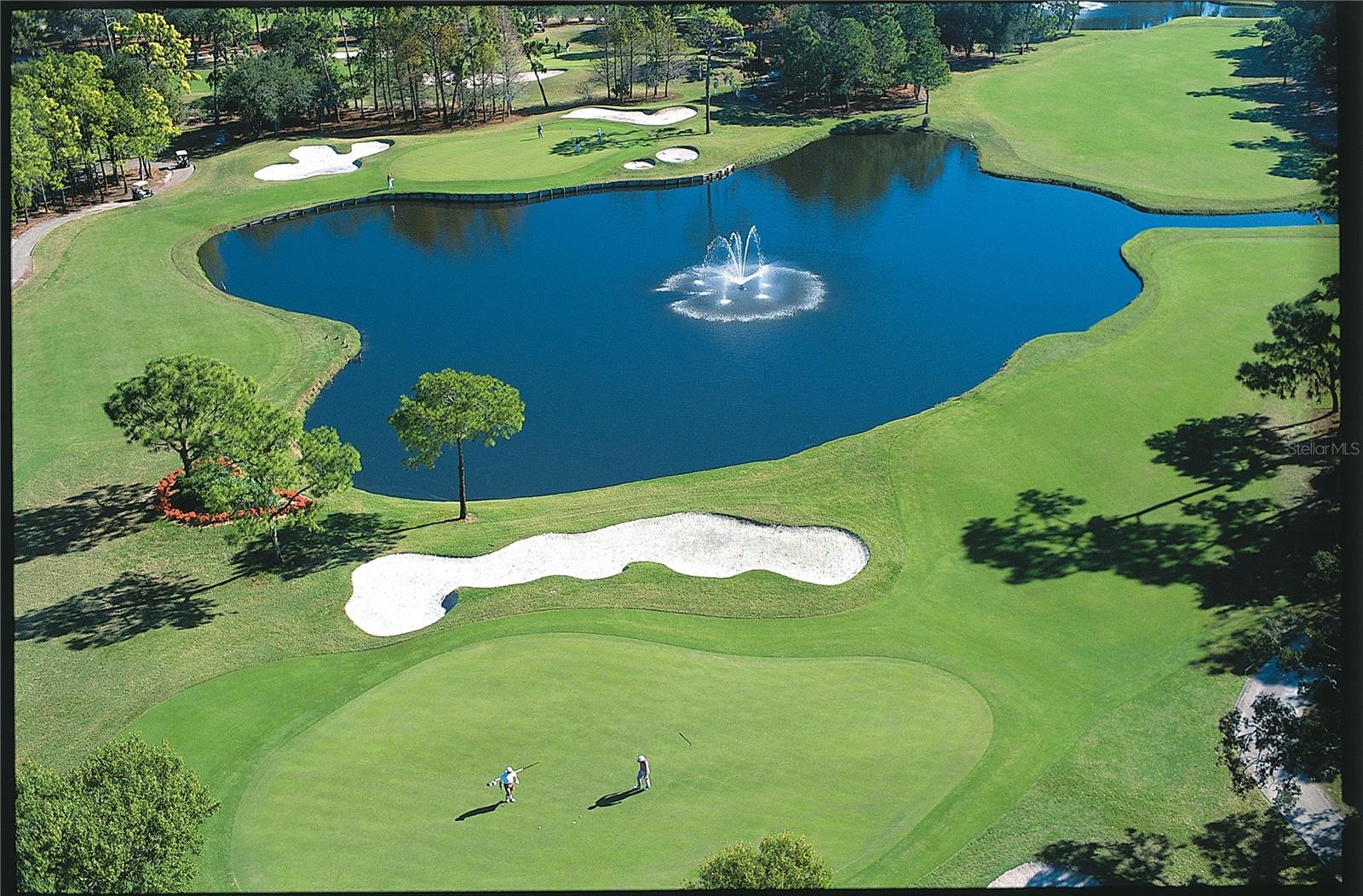 36750 US HIGHWAY 19 N #08111 — photo 55