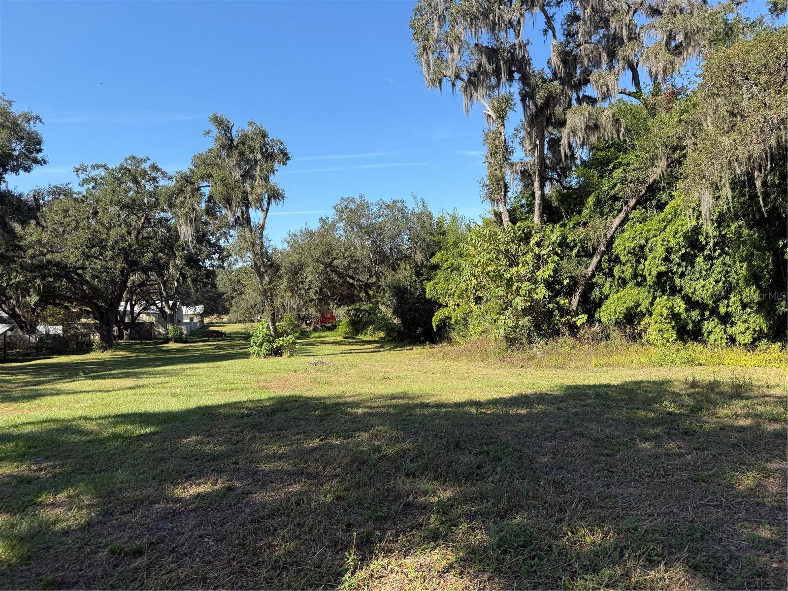 TRACT 6 WOODY LN — photo 2