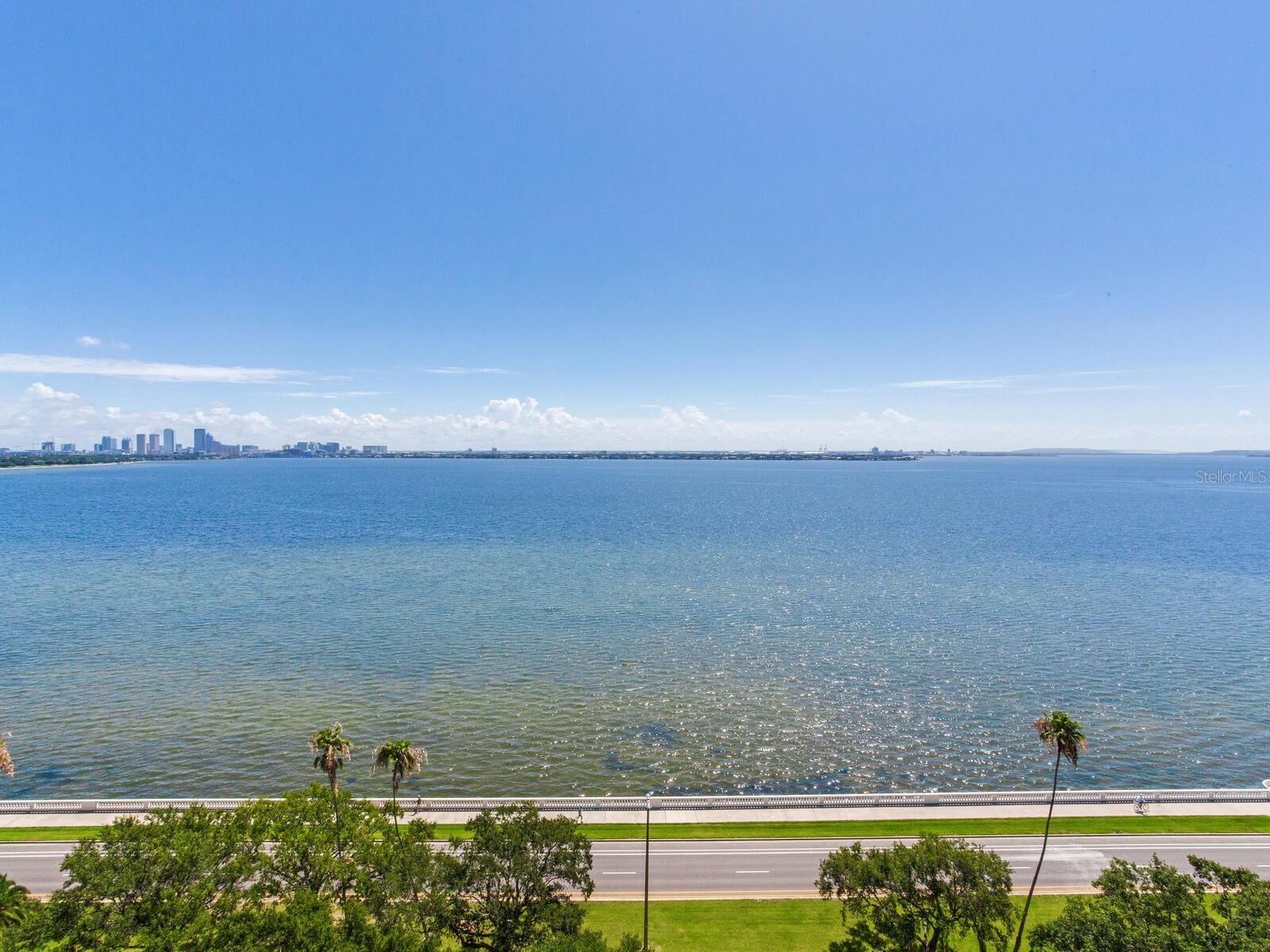 3507 BAYSHORE BLVD #1202 — photo 68