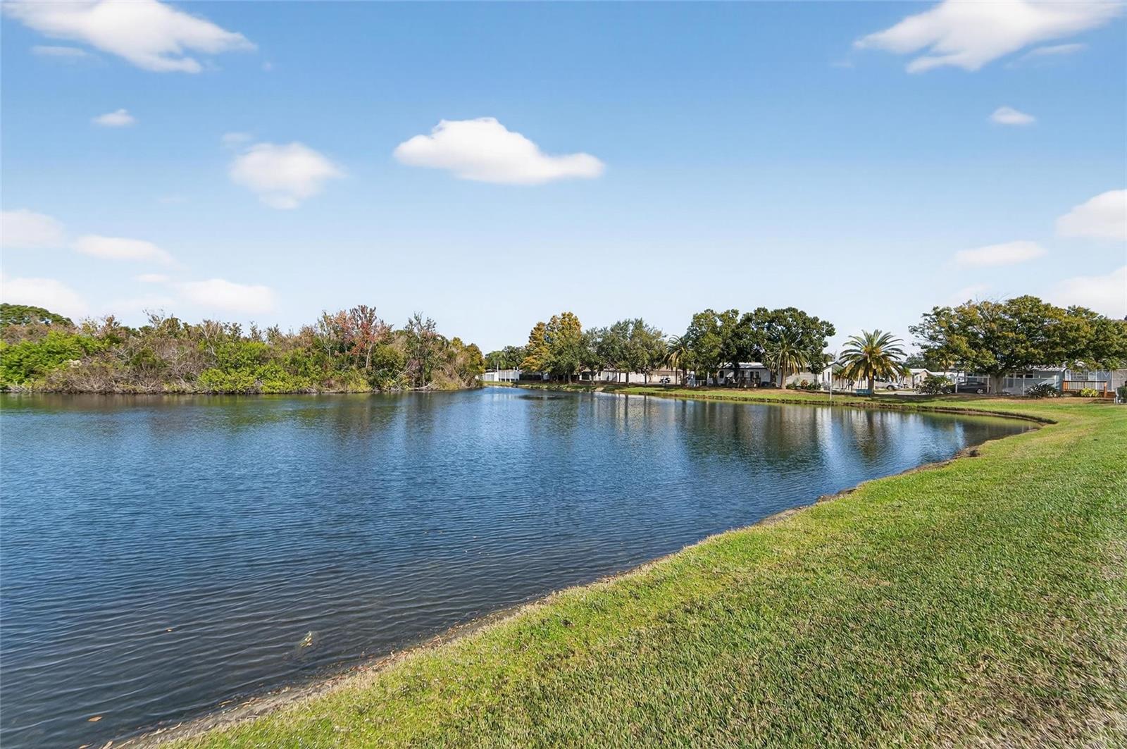 1001 STARKEY ROAD, LOT#355 — photo 38