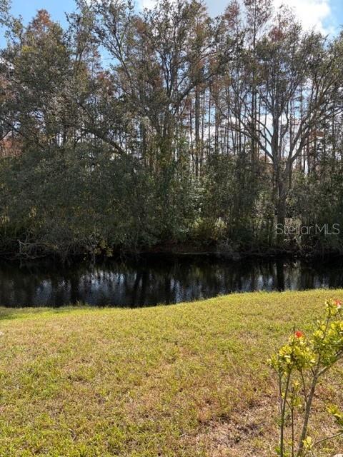 Home in LAND O LAKES — photo 5