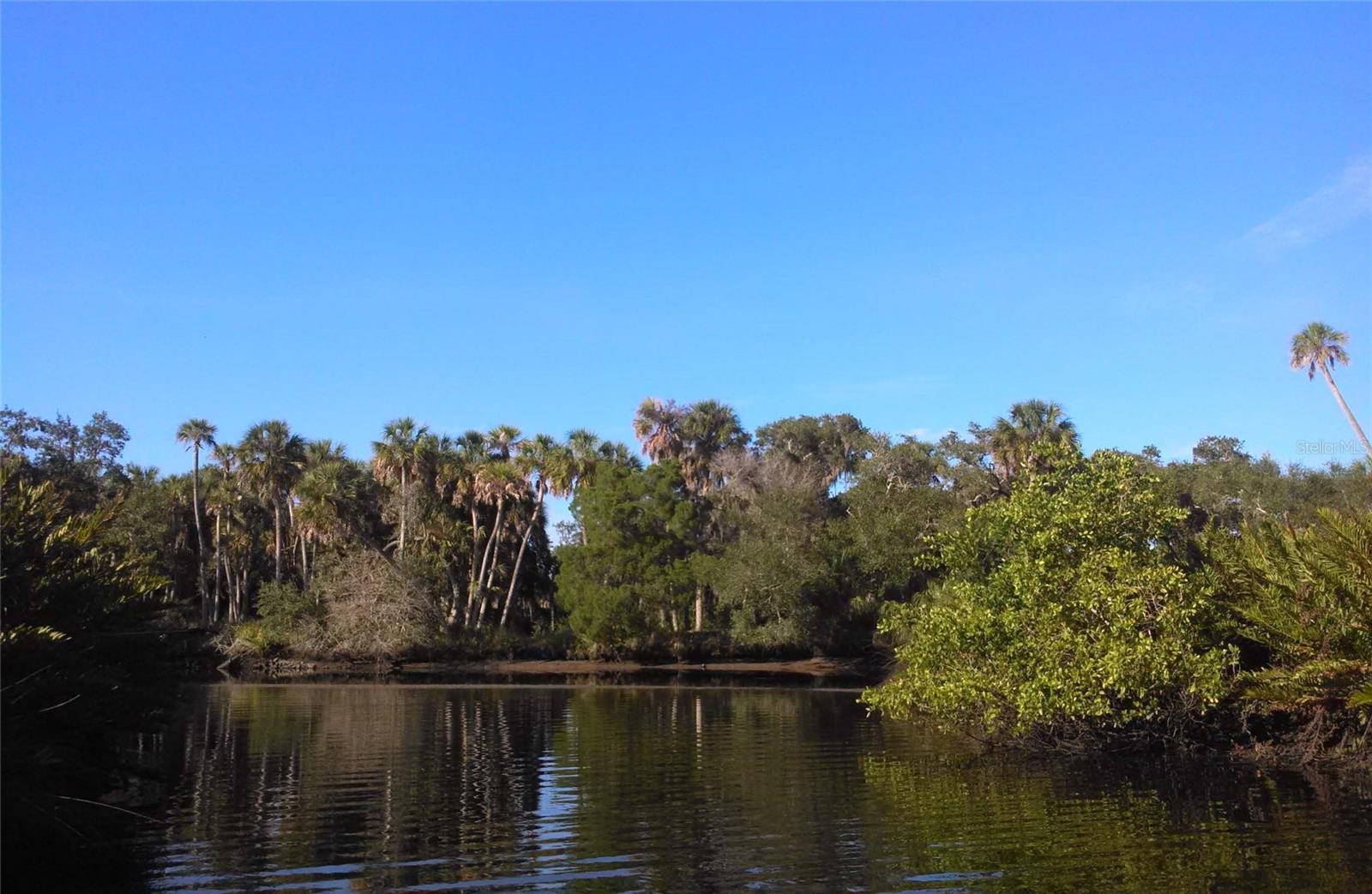 UPPER MANATEE RIVER RD — photo 17