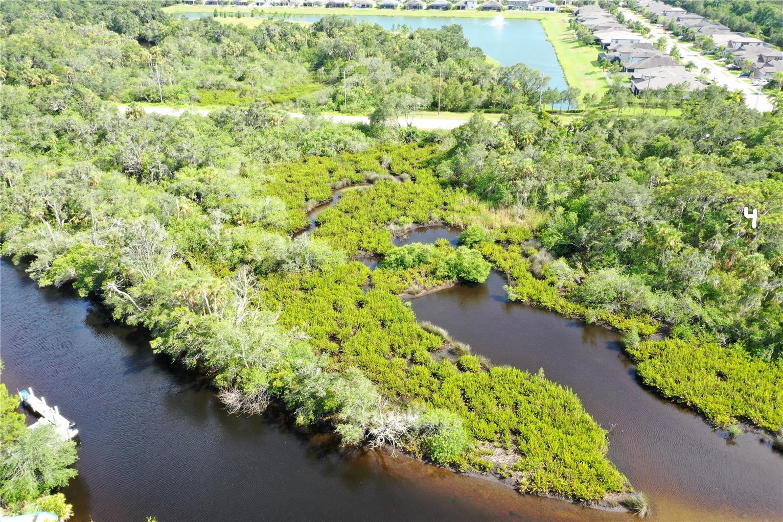 UPPER MANATEE RIVER RD — photo 18