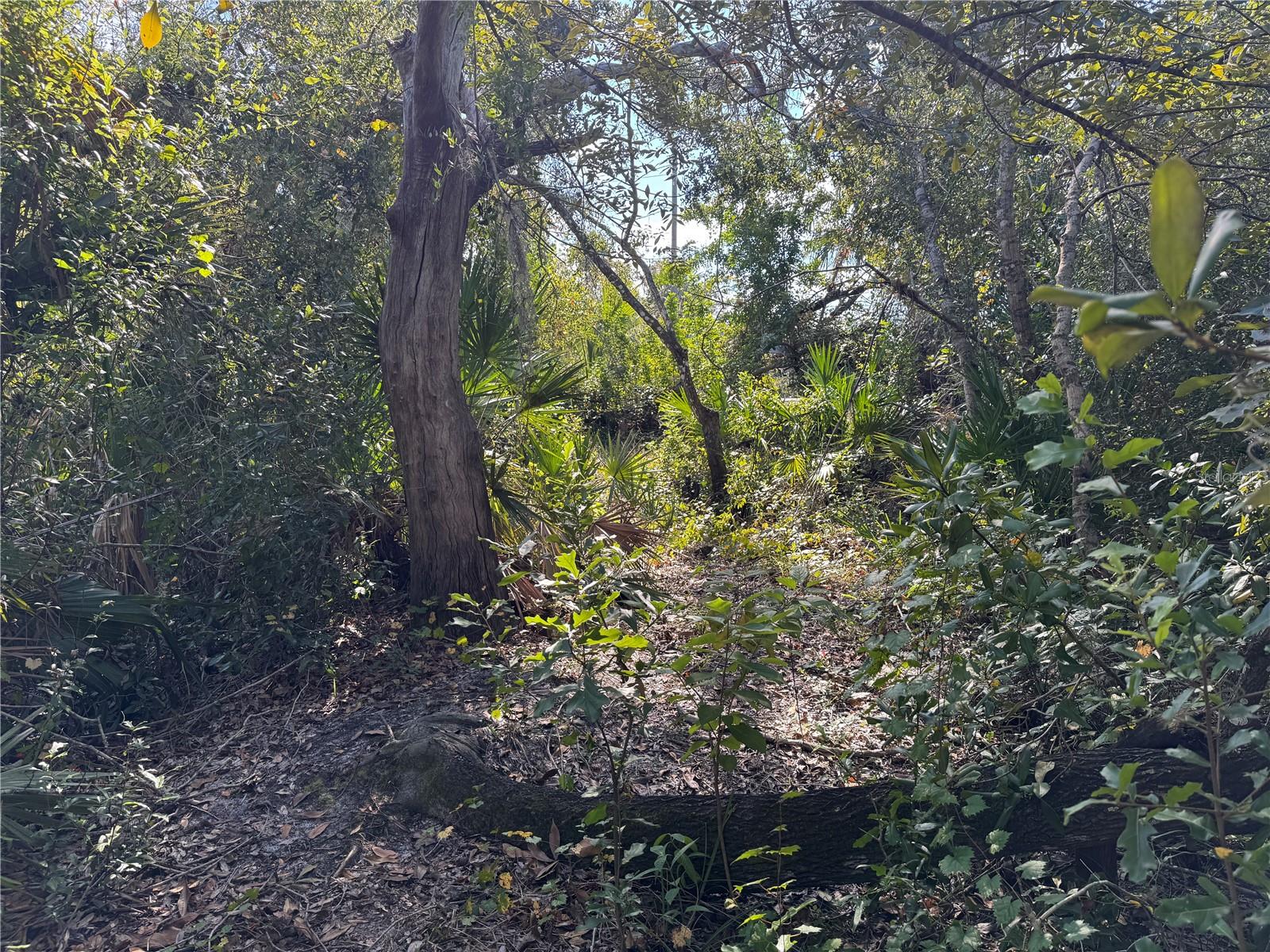 UPPER MANATEE RIVER RD — photo 10