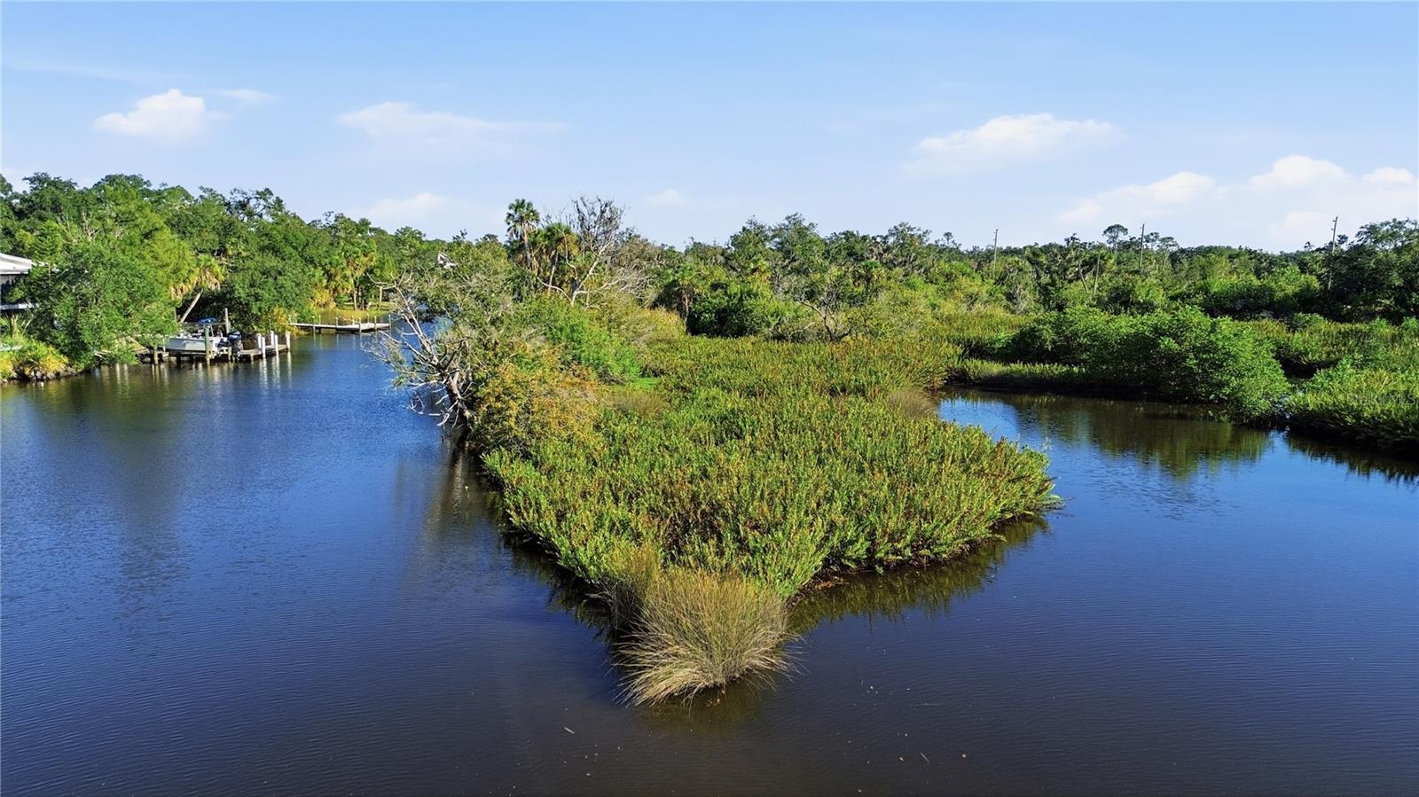 UPPER MANATEE RIVER RD — photo 5