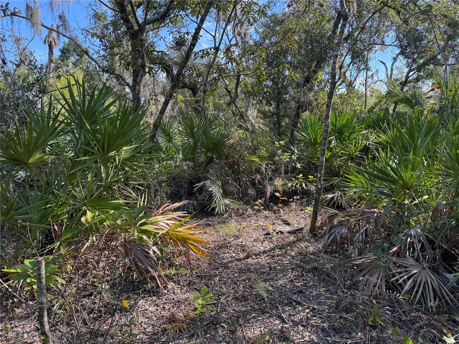 UPPER MANATEE RIVER RD — photo 7