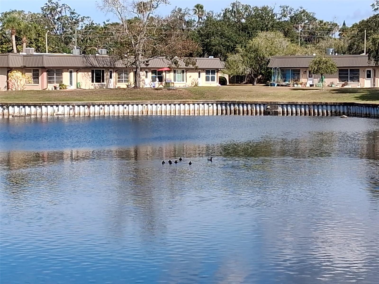 4326 SUMMERSUN DR — photo 22