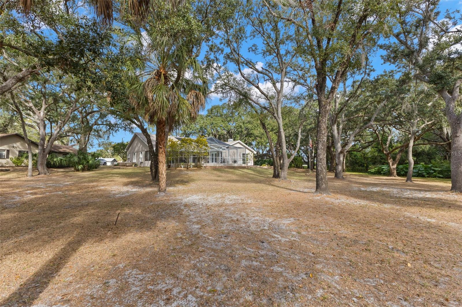 3734 THORNBUSH LN — photo 4