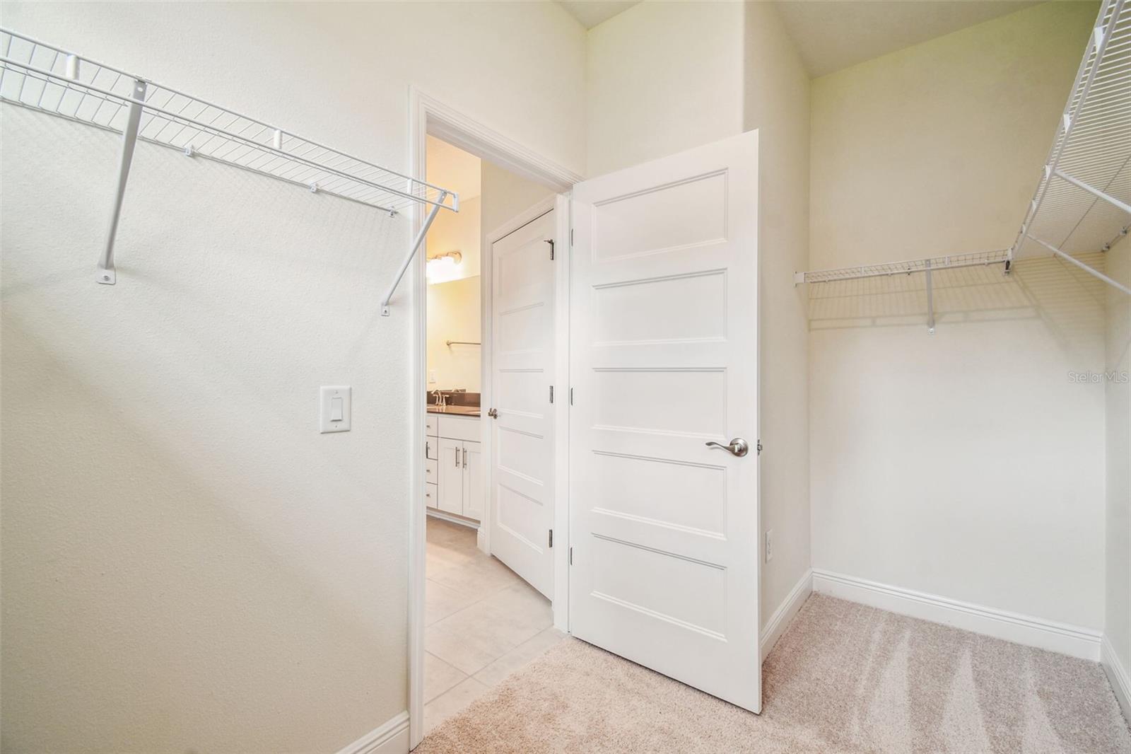 11347 STRIPED BASS CT — photo 33