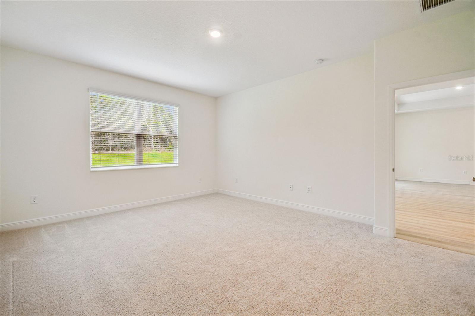 11347 STRIPED BASS CT — photo 25