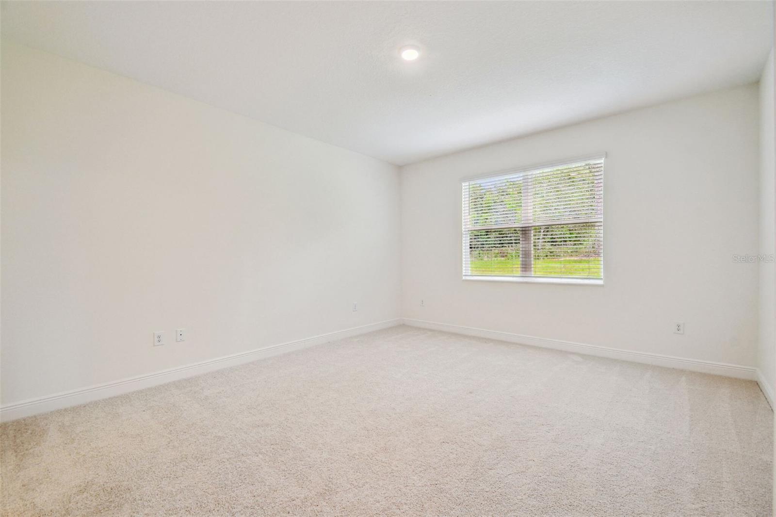 11347 STRIPED BASS CT — photo 24