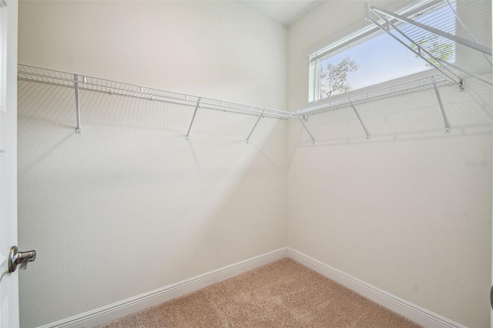 11347 STRIPED BASS CT — photo 32