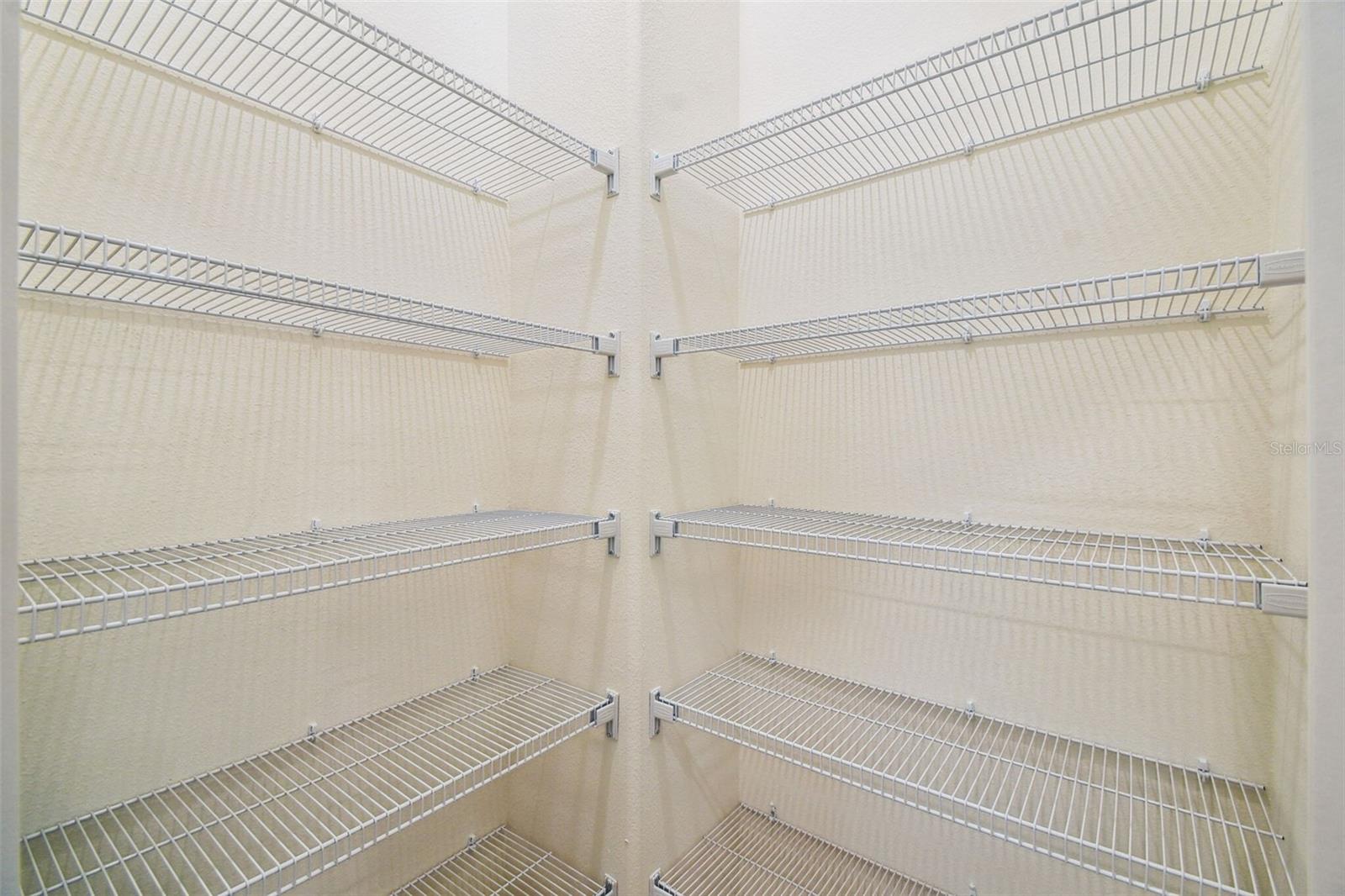 11347 STRIPED BASS CT — photo 14