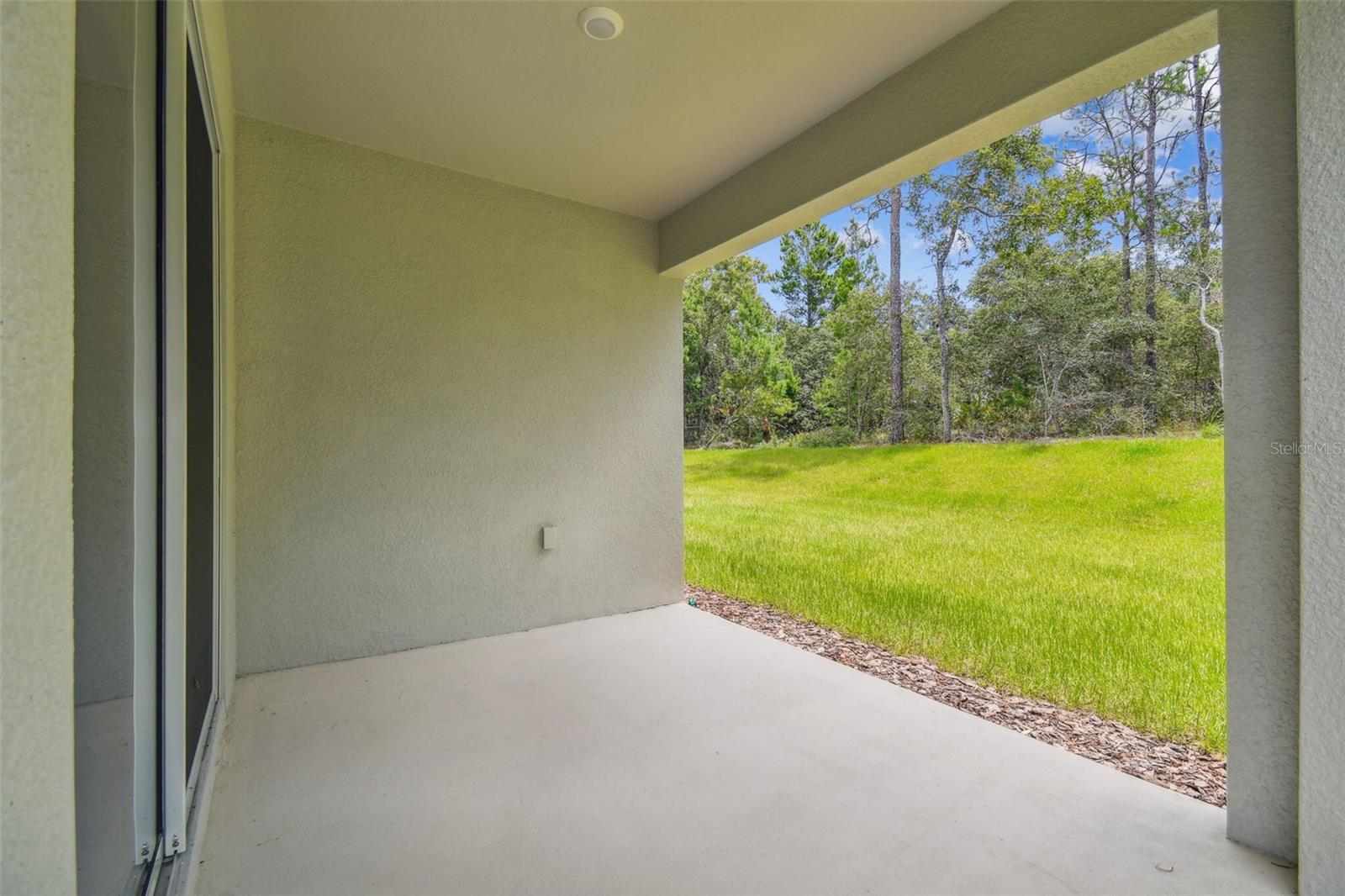 11347 STRIPED BASS CT — photo 34