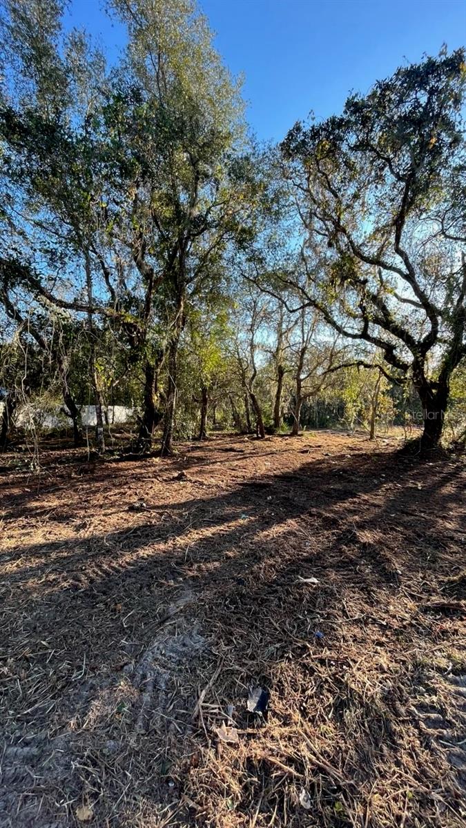 HAGAR DRIVE — photo 3