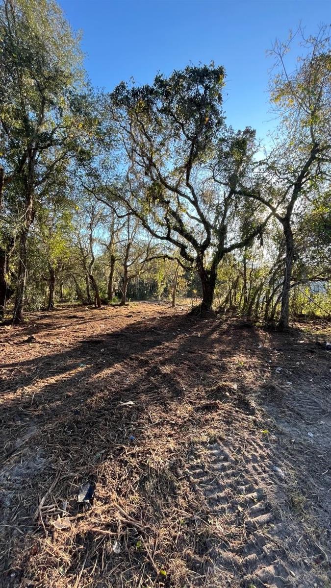 HAGAR DRIVE — photo 2