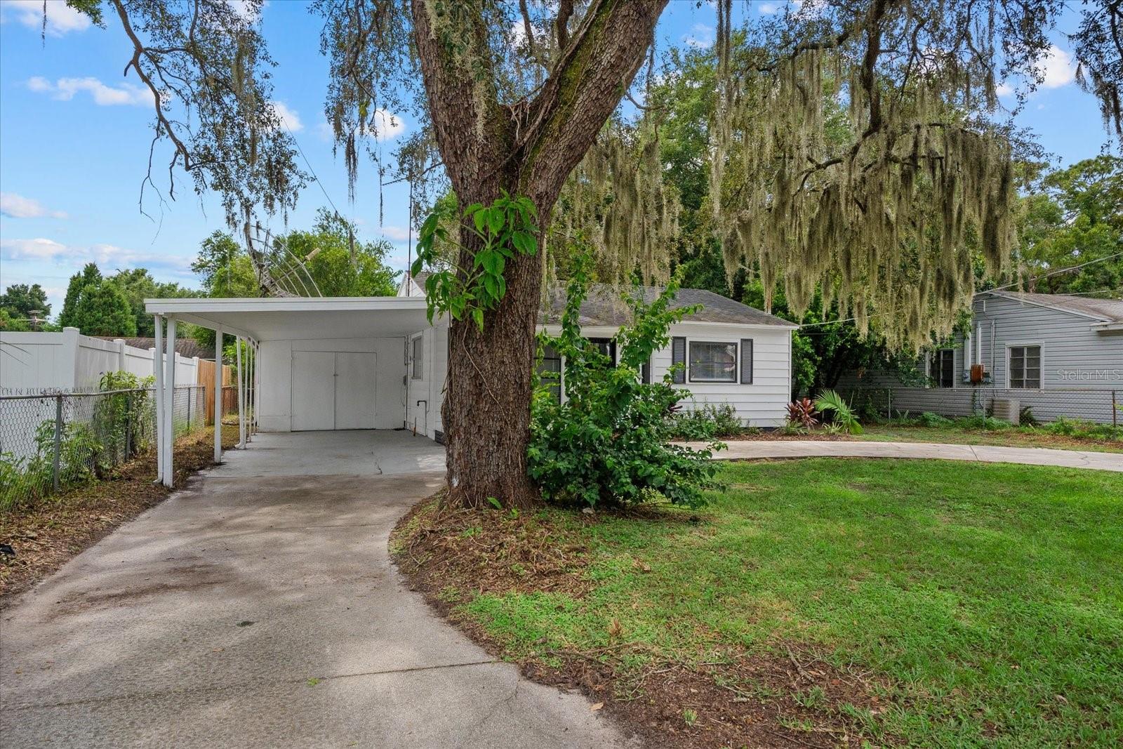 305 E BOUGAINVILLEA AVE — photo 4
