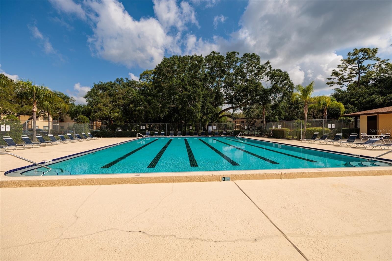 11708 RAINTREE VILLAGE BLVD #A — photo 19