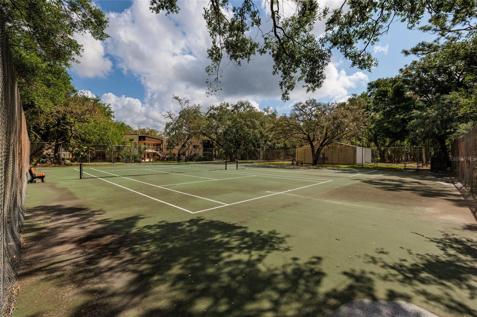11708 RAINTREE VILLAGE BLVD #A — photo 20