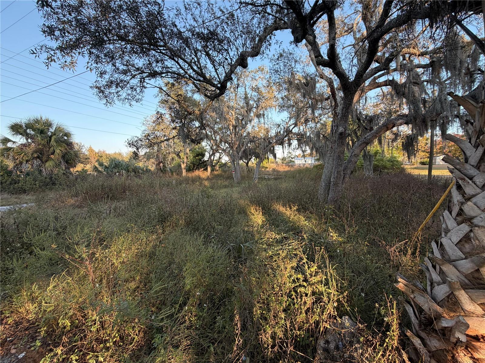 13934 LITEWOOD DR — photo 4