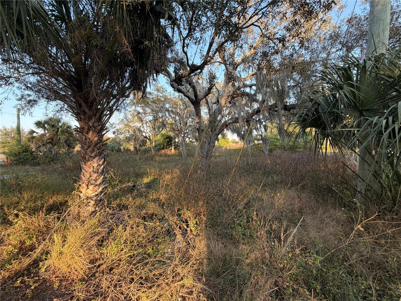 13934 LITEWOOD DR — photo 6