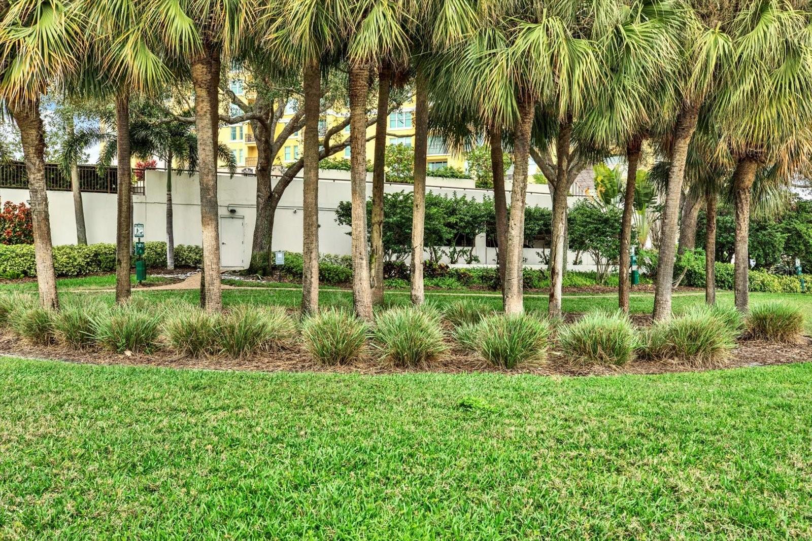 345 BAYSHORE BLVD #310 — photo 36
