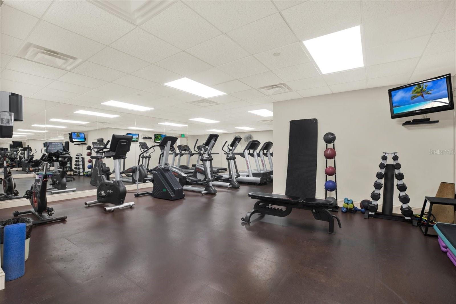 345 BAYSHORE BLVD #310 — photo 31