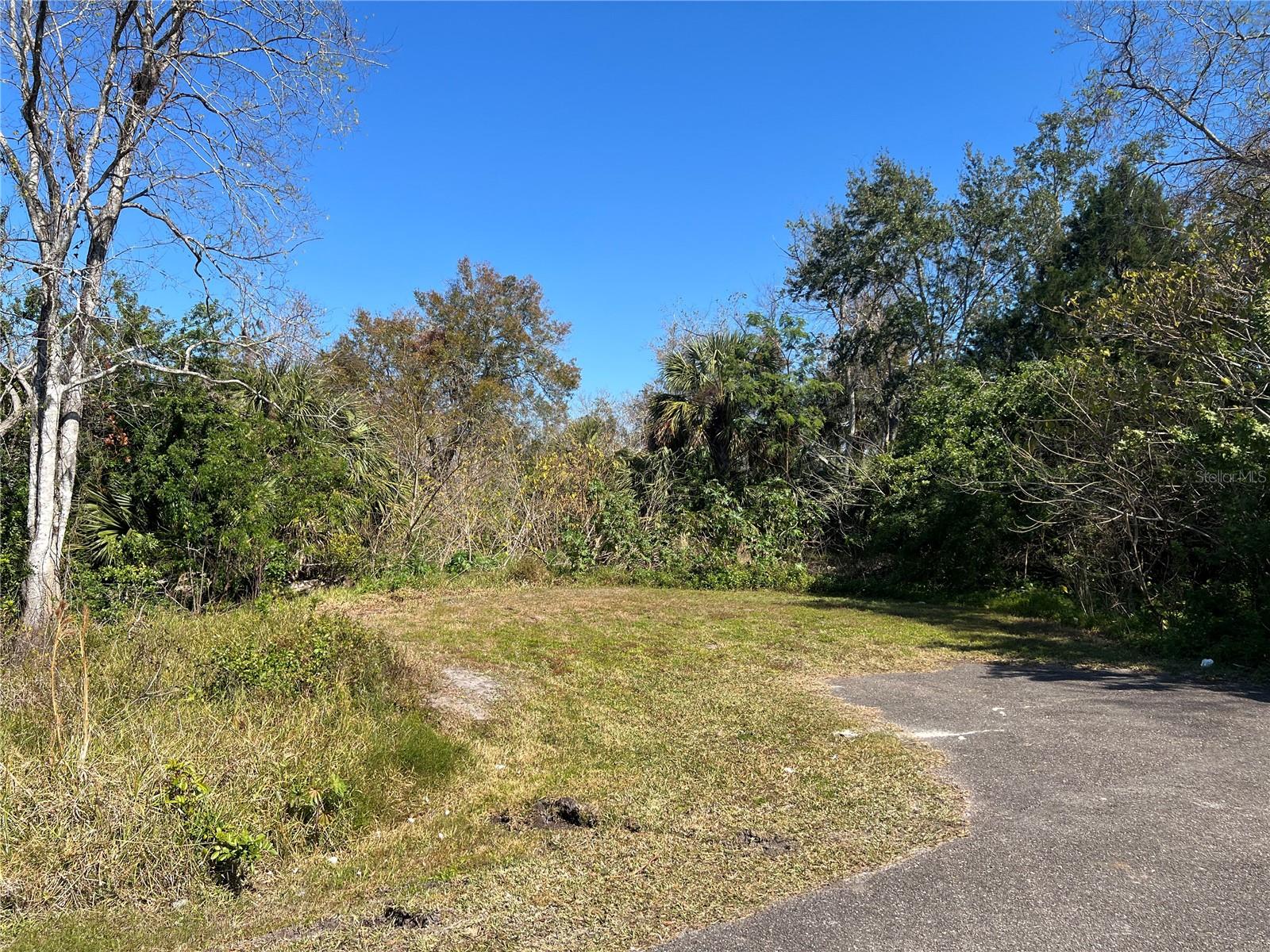 4715 SALVIA ST — photo 8