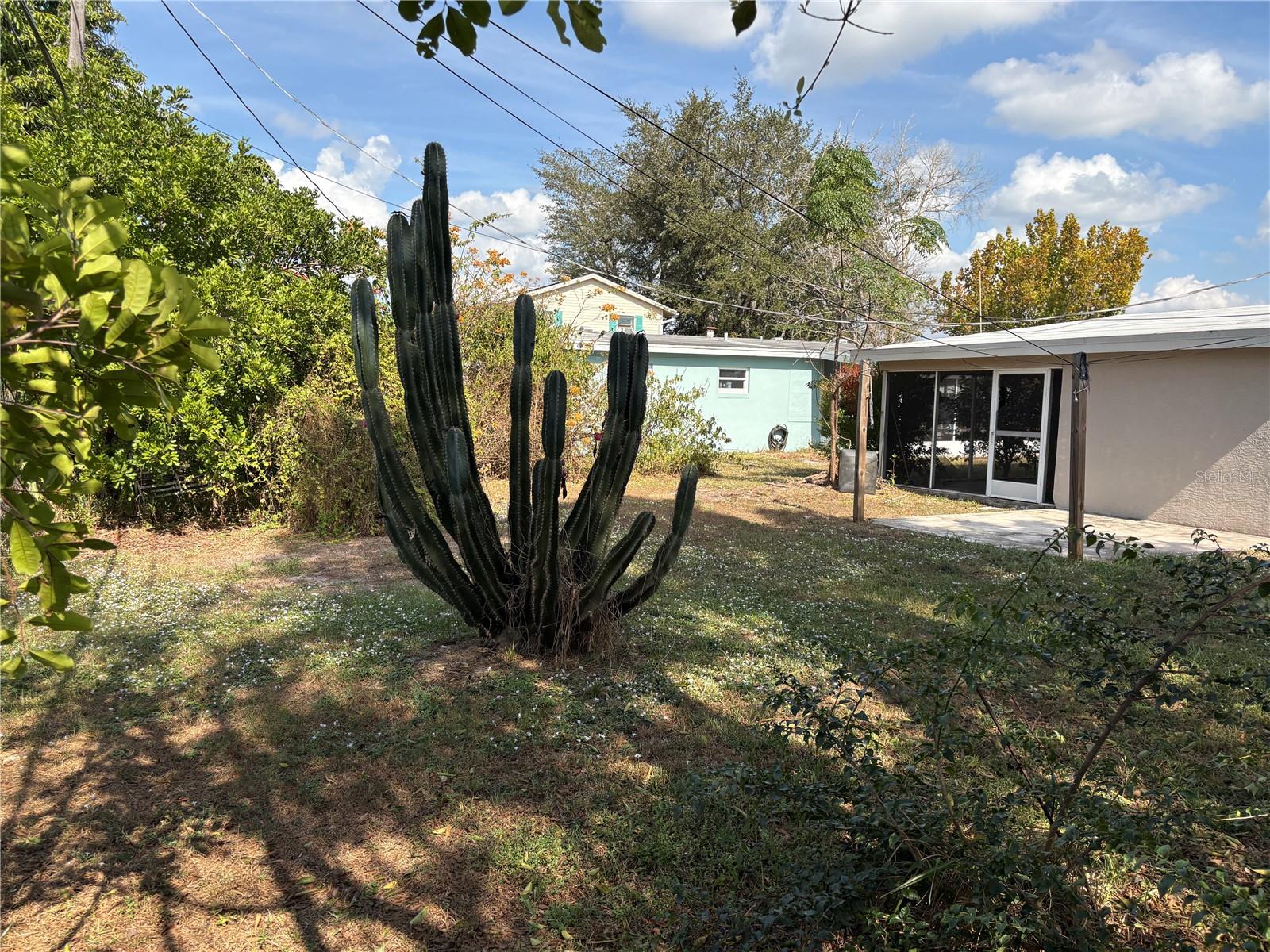 6129 FREEMONT ST — photo 31