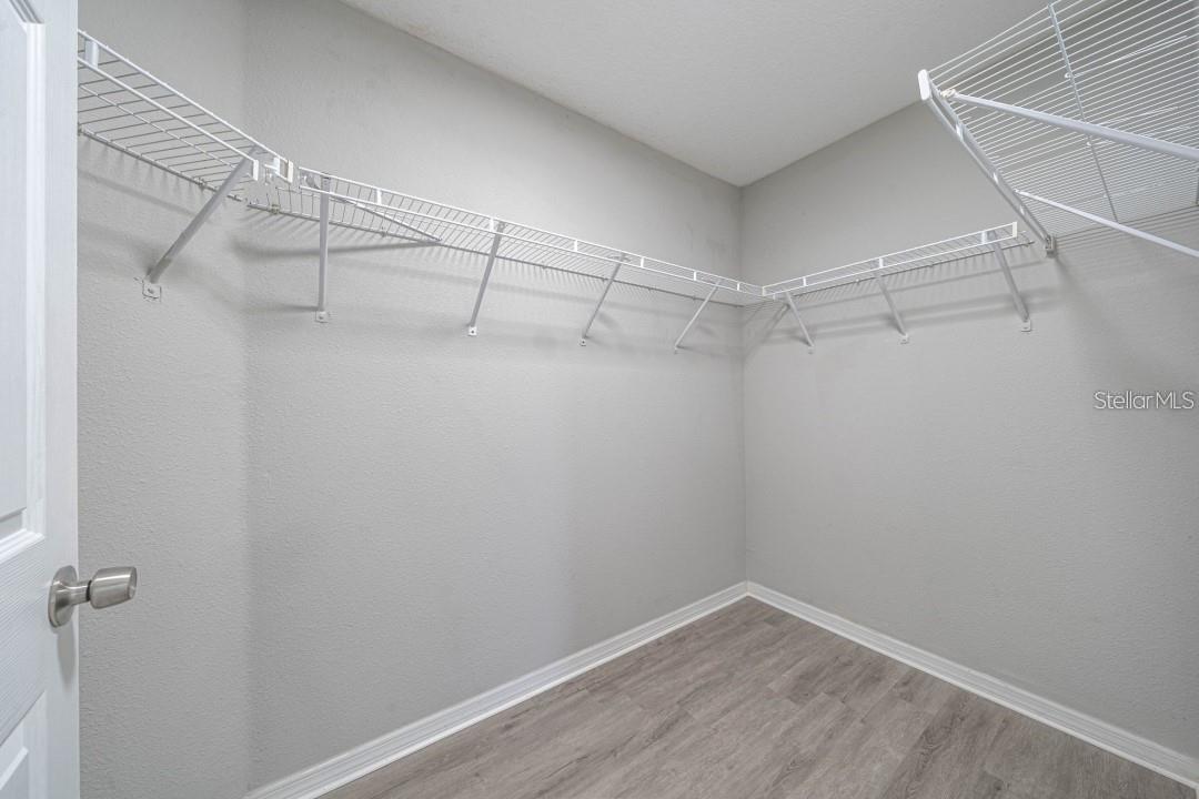 2025 PEACEFUL PALM ST — photo 23