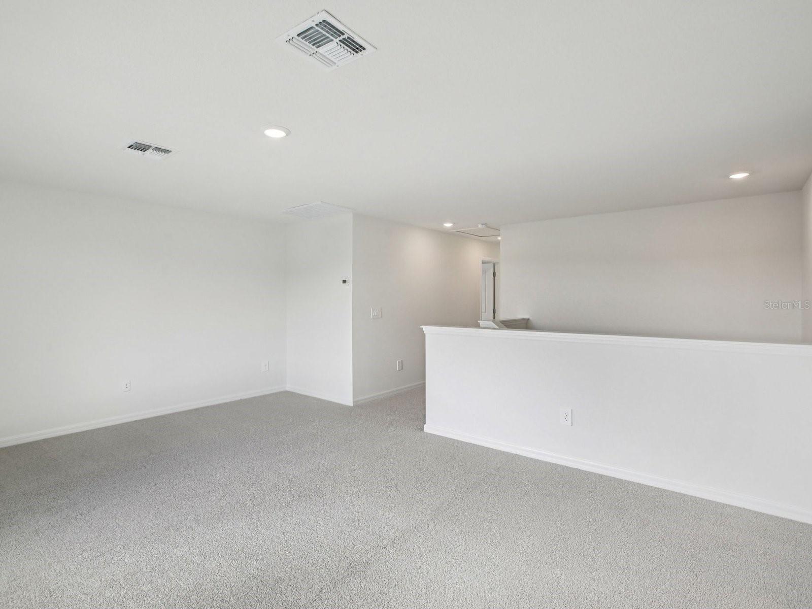 10409 ABUNDANCE GROVE WAY — photo 15