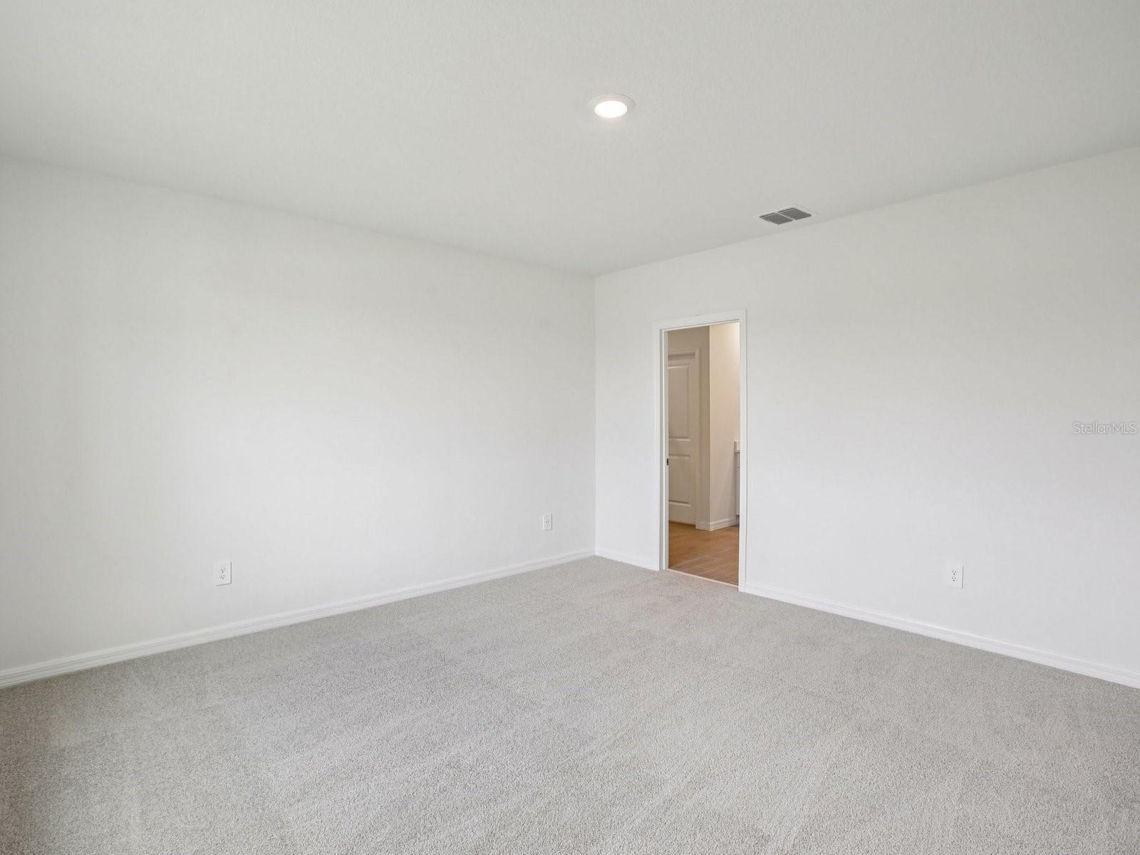 10409 ABUNDANCE GROVE WAY — photo 13