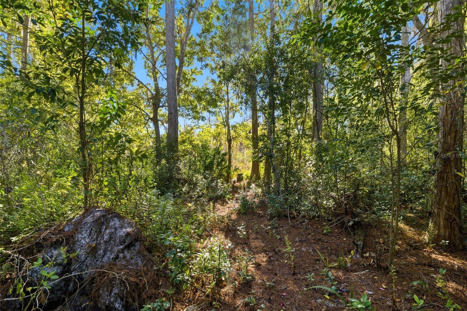 0 MOON LAKE CIR — photo 8