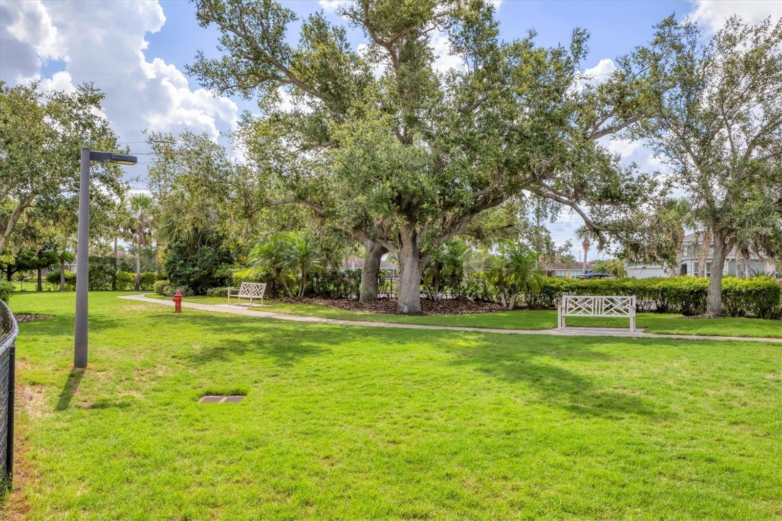 2520 TERRACINA DR — photo 35
